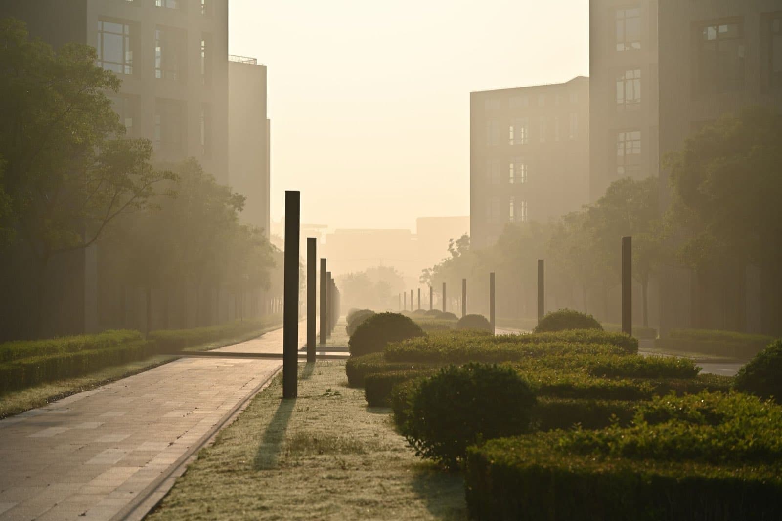 A misty city boulevard at dawn, empty and quiet in soft light