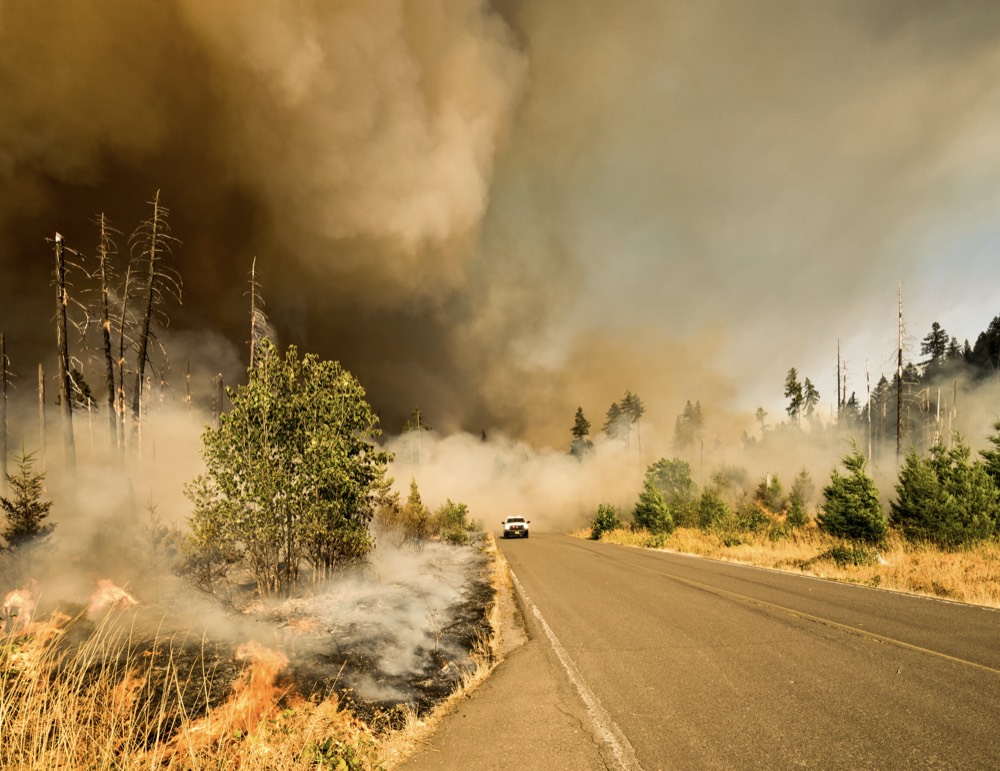 Wildfire scenario